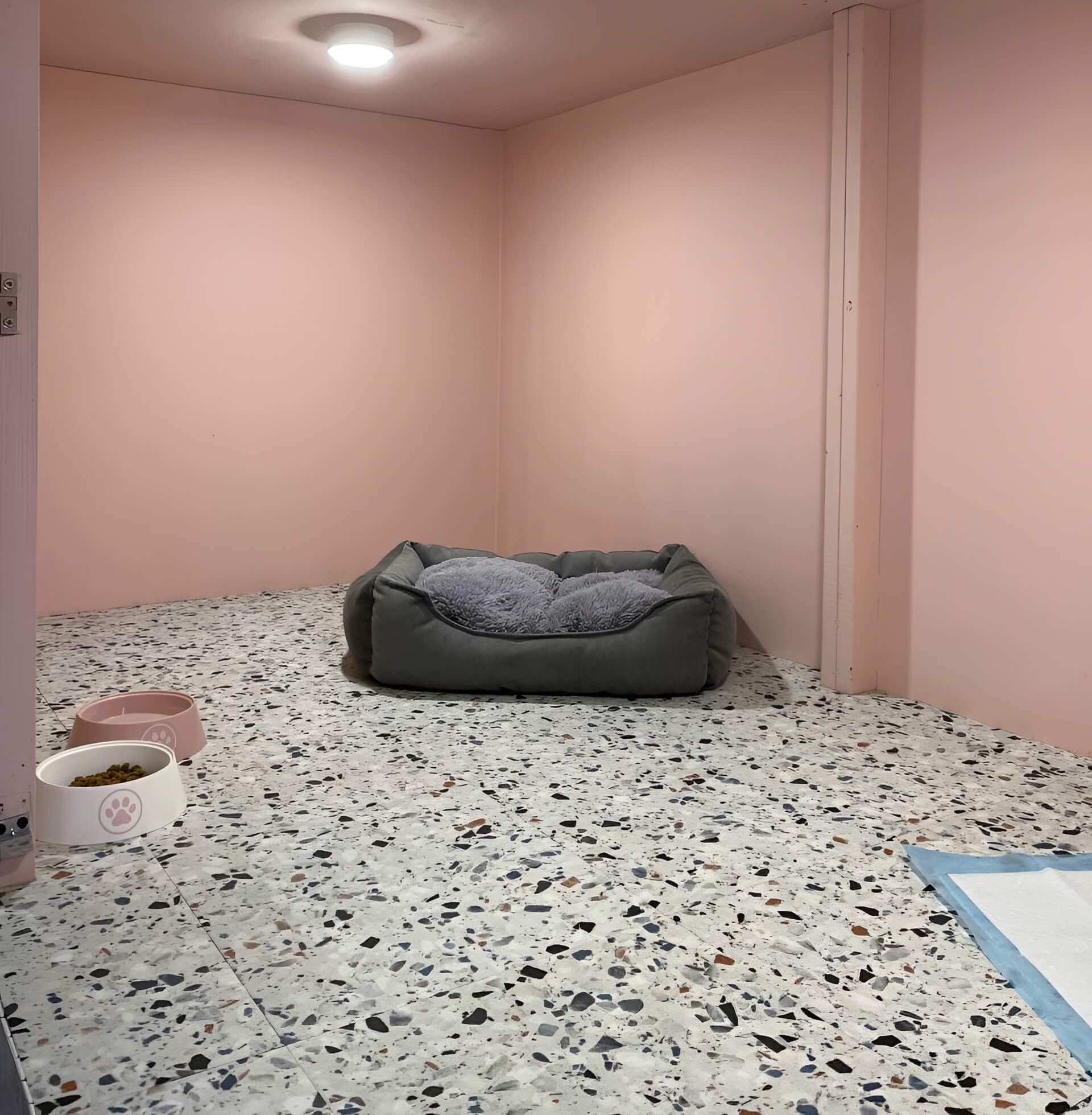 Номер Премиум для собак