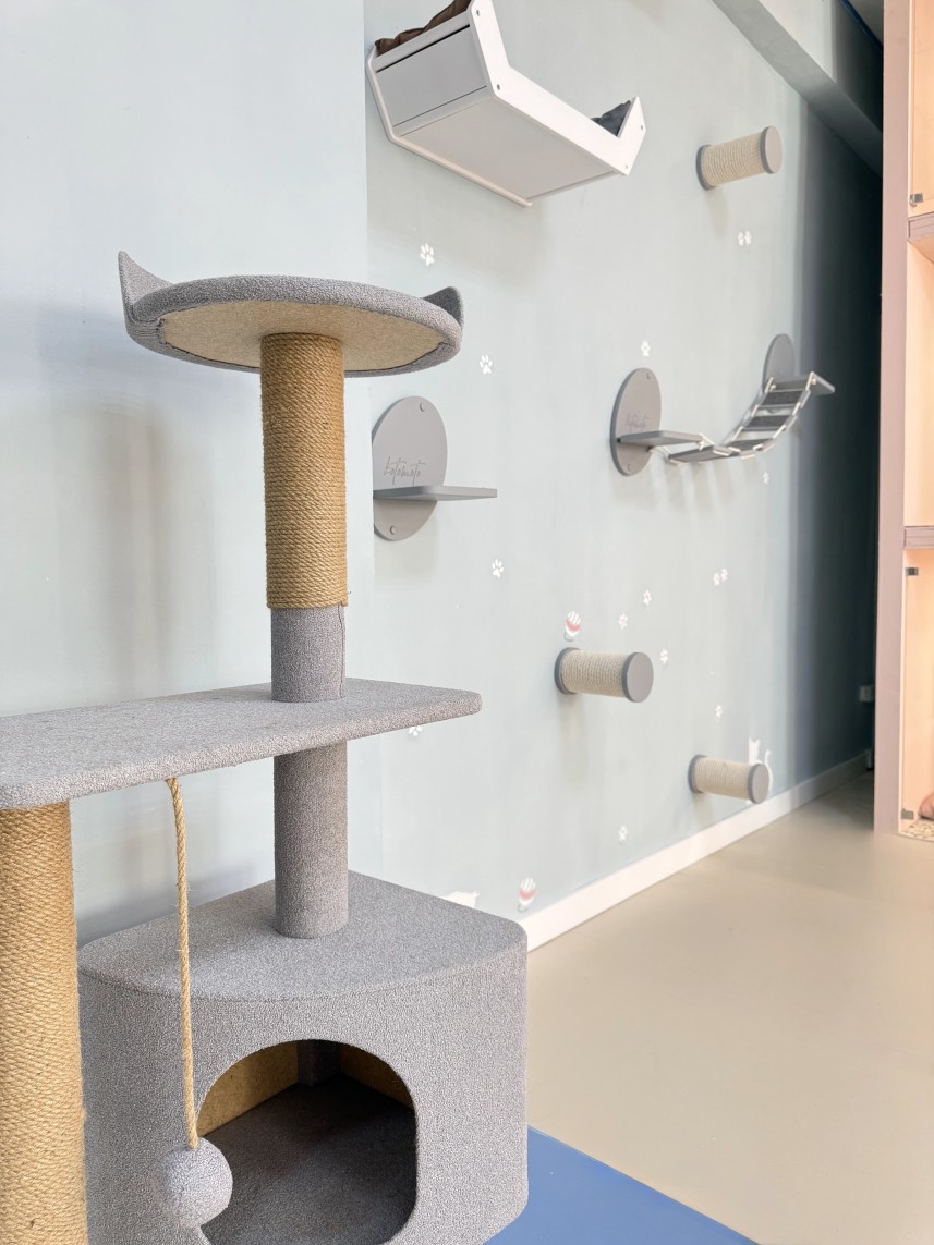 Игровая зона